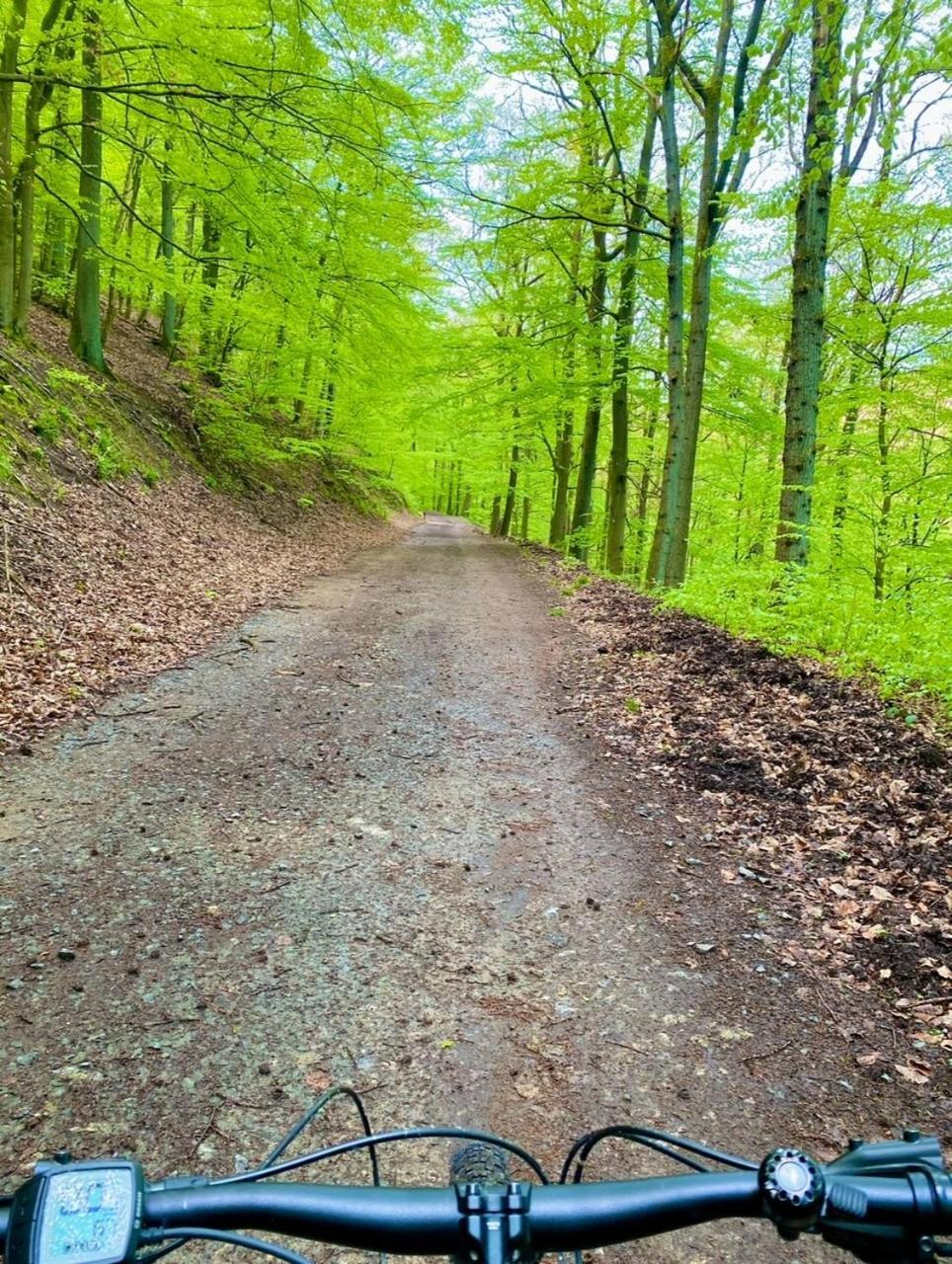 Exklusiver Rueckzugsort Mit Sauna In Der Natur! Nachrodt-Wiblingwerde Exterior foto